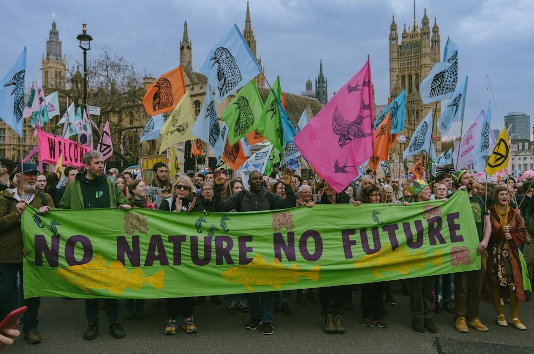 crowd at climate protest